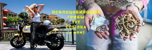 герыч Арсеньев