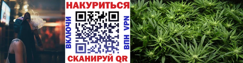 купить наркотики сайты  Пушкино  гидра онион  Каннабис планчик 